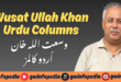 Wusat Ullah Khan Urdu Columns